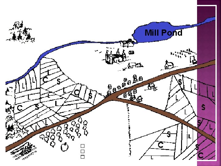 Mill Pond 