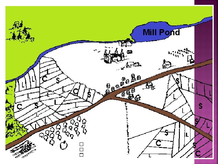 Mill Pond 
