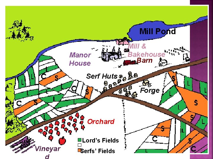 Mill Pond Manor House Mill & Bakehouse Barn Serf Huts Forge Orchard Lord’s Fields