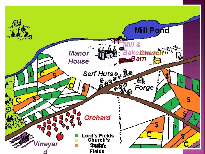 Mill Pond Manor House Mill & Bakehouse Church Barn Serf Huts Forge Orchard Vineyar