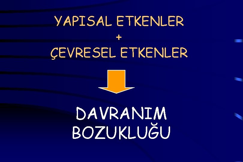 YAPISAL ETKENLER + ÇEVRESEL ETKENLER DAVRANIM BOZUKLUĞU 