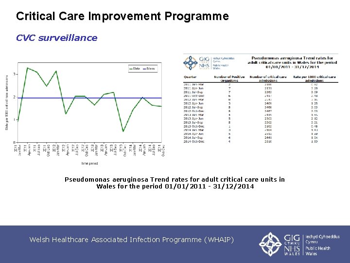 Critical Care Improvement Programme CVC surveillance Pseudomonas aeruginosa Trend rates for adult critical care