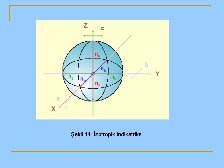 Şekil 14. İzotropik indikatriks 