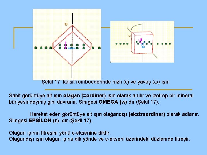 Şekil 17. kalsit romboederinde hızlı (ε) ve yavaş (ω) ışın Sabit görüntüye ait ışın