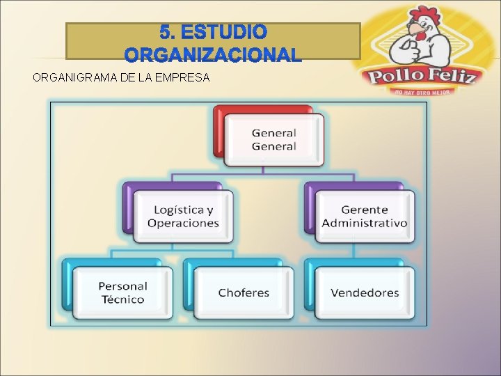  ORGANIGRAMA DE LA EMPRESA 