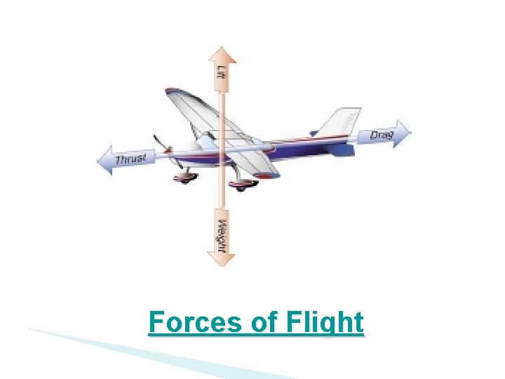 Forces of Flight 