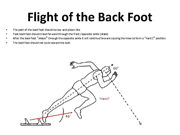 Flight of the Back Foot • • The path of the back foot should Flight of the Back Foot • • The path of the back foot should