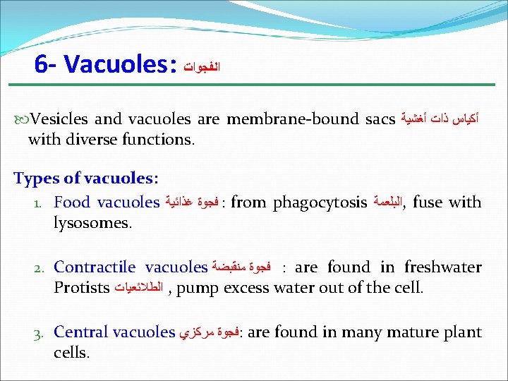 6 - Vacuoles: ﺍﻟﻔﺠﻮﺍﺕ Vesicles and vacuoles are membrane-bound sacs ﺃﻜﻴﺎﺱ ﺫﺍﺕ ﺃﻐﺸﻴﺔ with