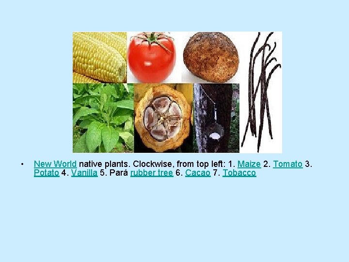  • New World native plants. Clockwise, from top left: 1. Maize 2. Tomato