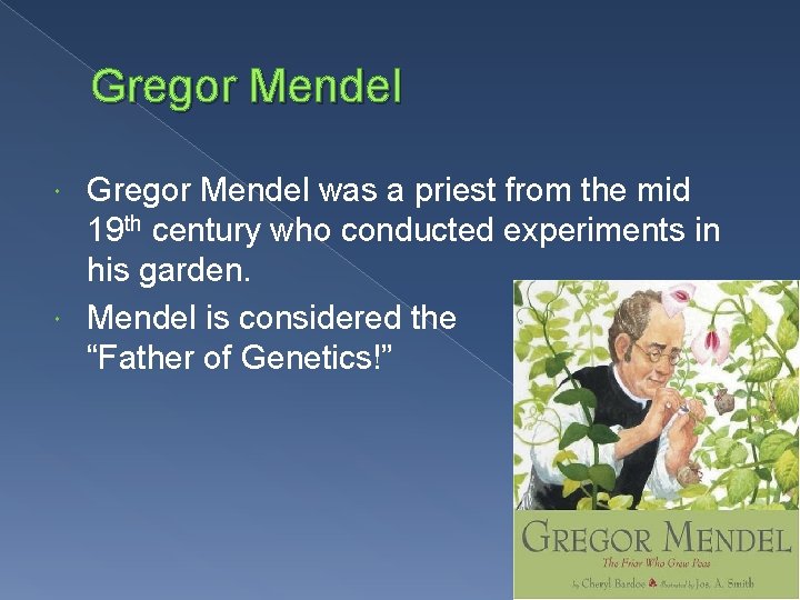Gregor Mendel was a priest from the mid 19 th century who conducted experiments