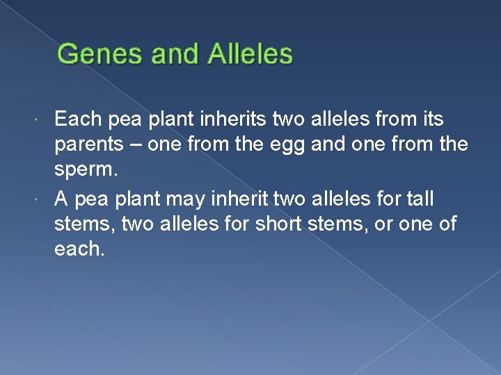 Genes and Alleles Each pea plant inherits two alleles from its parents – one