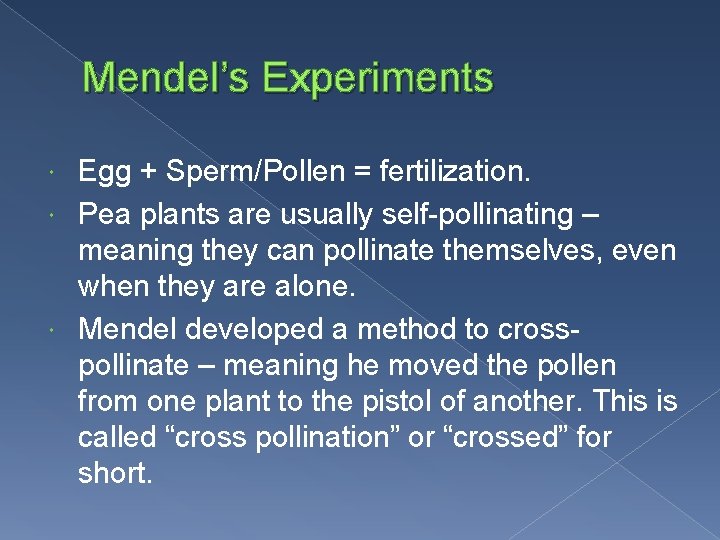 Mendel’s Experiments Egg + Sperm/Pollen = fertilization. Pea plants are usually self-pollinating – meaning