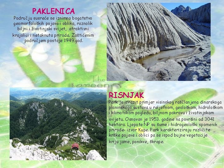 PAKLENICA Području susreće se iznimno bogatstvo geomorfoloških pojava i oblika, raznolik biljni i životinjski