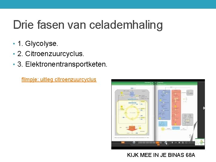 Drie fasen van celademhaling • 1. Glycolyse. • 2. Citroenzuurcyclus. • 3. Elektronentransportketen. filmpje: