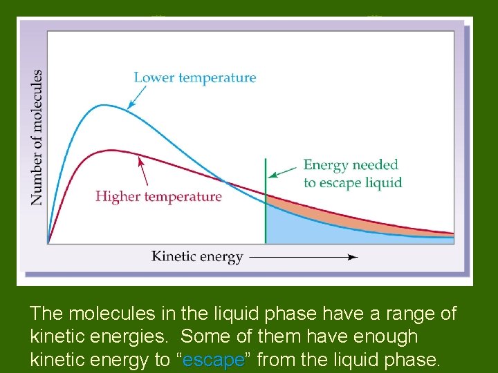 The molecules in the liquid phase have a range of kinetic energies. Some of
