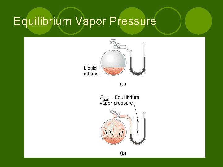 Equilibrium Vapor Pressure 