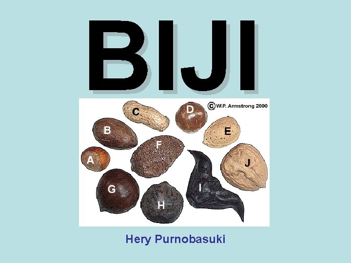 BIJI Hery Purnobasuki 