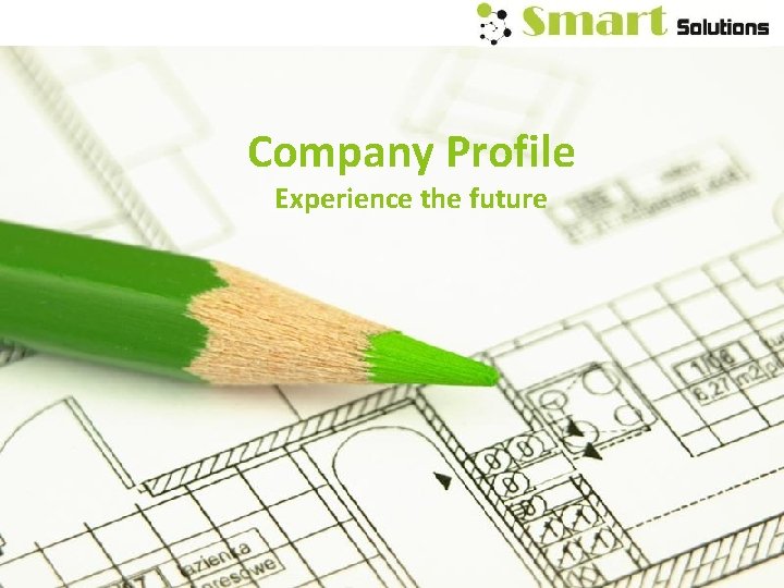Company Profile Experience the future 