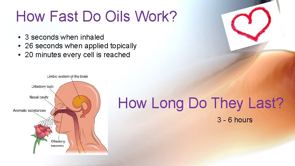 How Fast Do Oils Work? • 3 seconds when inhaled • 26 seconds when