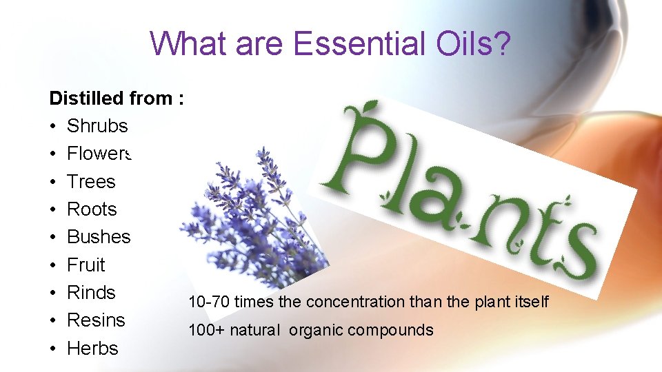 What are Essential Oils? Distilled from : • Shrubs • Flowers • Trees •