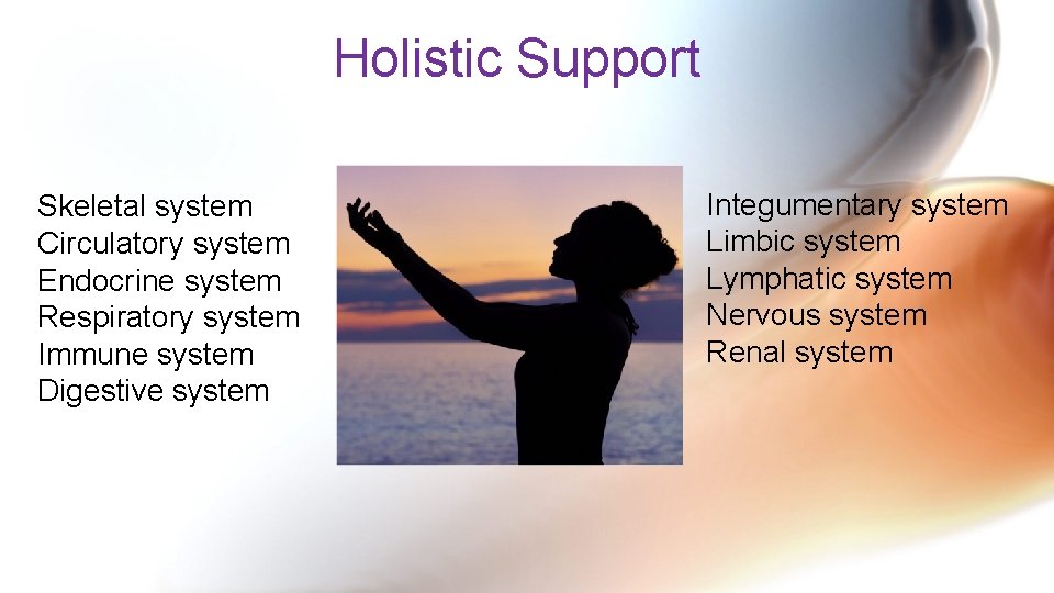 Holistic Support Skeletal system Circulatory system Endocrine system Respiratory system Immune system Digestive system