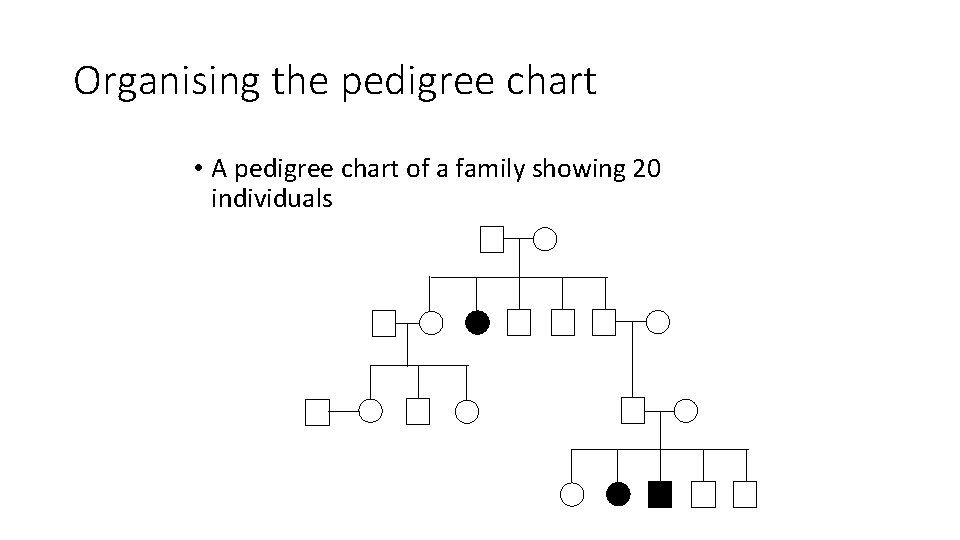 Organising the pedigree chart • A pedigree chart of a family showing 20 individuals Organising the pedigree chart • A pedigree chart of a family showing 20 individuals