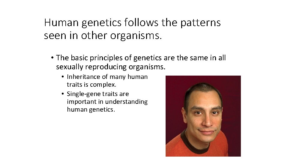 Human genetics follows the patterns seen in other organisms. • The basic principles of Human genetics follows the patterns seen in other organisms. • The basic principles of