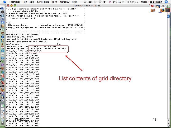 List contents of grid directory 11/4/2020 19 