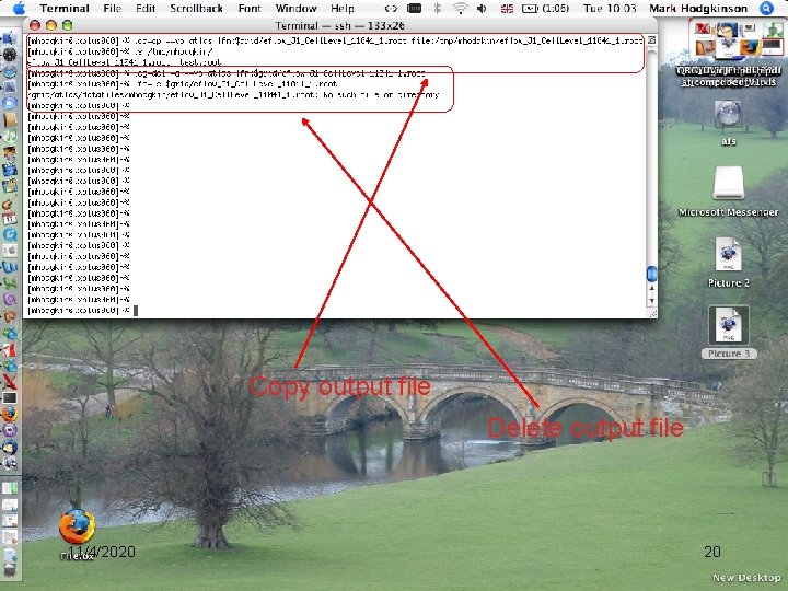 Copy output file Delete output file 11/4/2020 20 