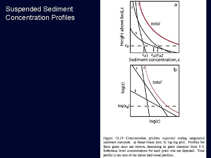 Suspended Sediment Concentration Profiles 