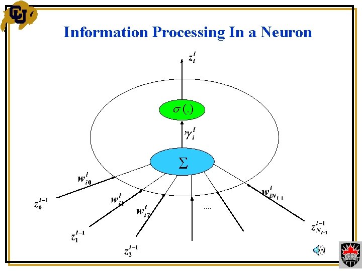 Information Processing In a Neuron (. ) …. 