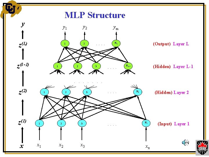 MLP Structure y y 2 y 1 z(L) 1 z(l -1) 1 2 ym.