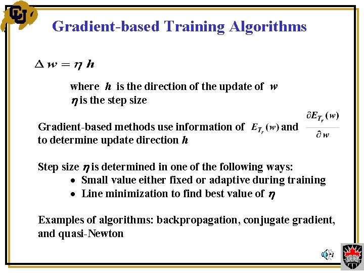  Gradient-based Training Algorithms where h is the direction of the update of w