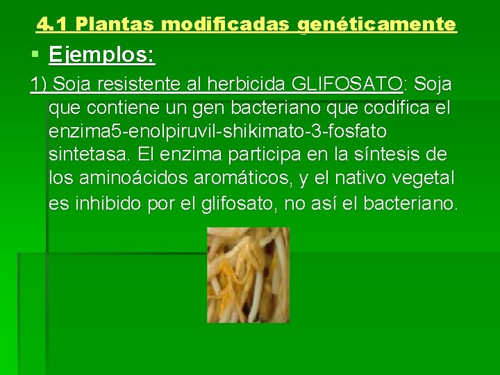 4. 1 Plantas modificadas genéticamente § Ejemplos: 1) Soja resistente al herbicida GLIFOSATO: Soja