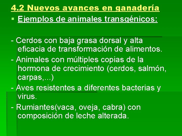 4. 2 Nuevos avances en ganadería § Ejemplos de animales transgénicos: - Cerdos con