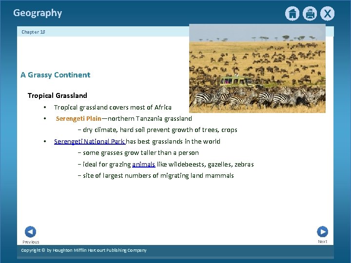 Geography Chapter 18 A Grassy Continent Tropical Grassland • Tropical grassland covers most of