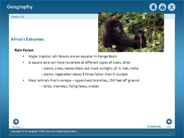 Geography Chapter 18 Africa’s Extremes Rain Forest • Major tropical rain forests are on