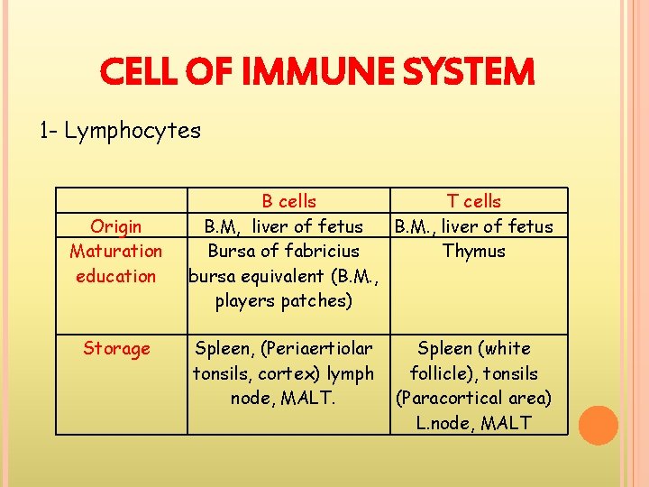 CELL OF IMMUNE SYSTEM 1 - Lymphocytes Origin Maturation education Storage B cells T