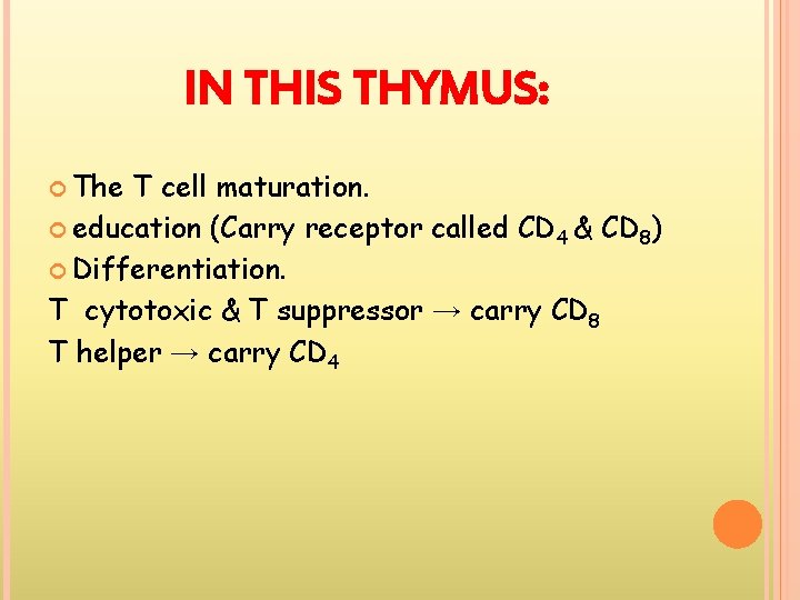 IN THIS THYMUS: The T cell maturation. education (Carry receptor called CD 4 &