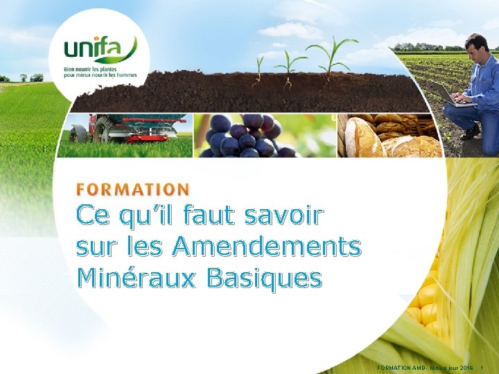 Ce qu’il faut savoir sur les Amendements Minéraux Basiques FORMATION AMB - Mise à