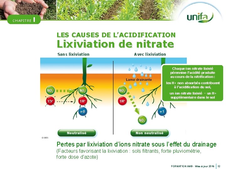 CHAPITRE I LES CAUSES DE L’ACIDIFICATION Lixiviation de nitrate Sans lixiviation Avec lixiviation Chaque