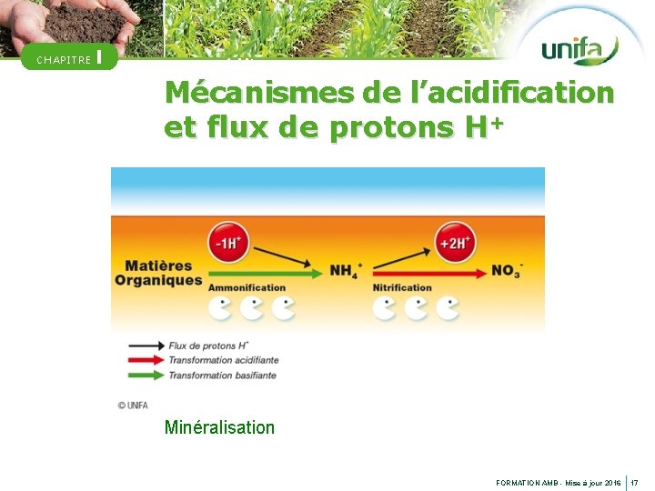 CHAPITRE I +1 H+ Mécanismes de l’acidification et flux de protons H+ Minéralisation FORMATION