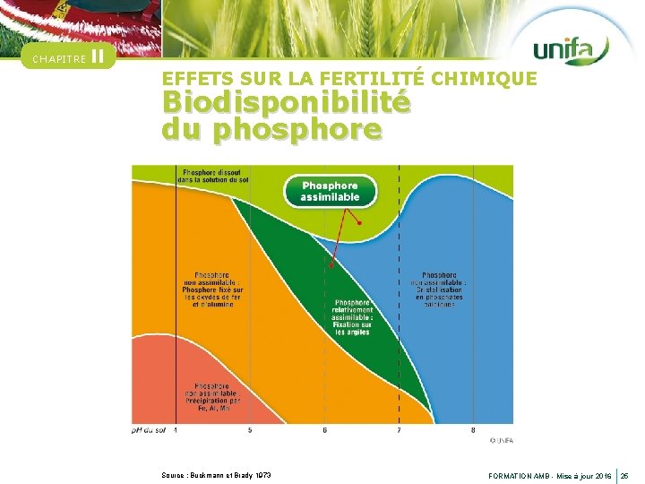 CHAPITRE II EFFETS SUR LA FERTILITÉ CHIMIQUE Biodisponibilité du phosphore Source : Buckmann et