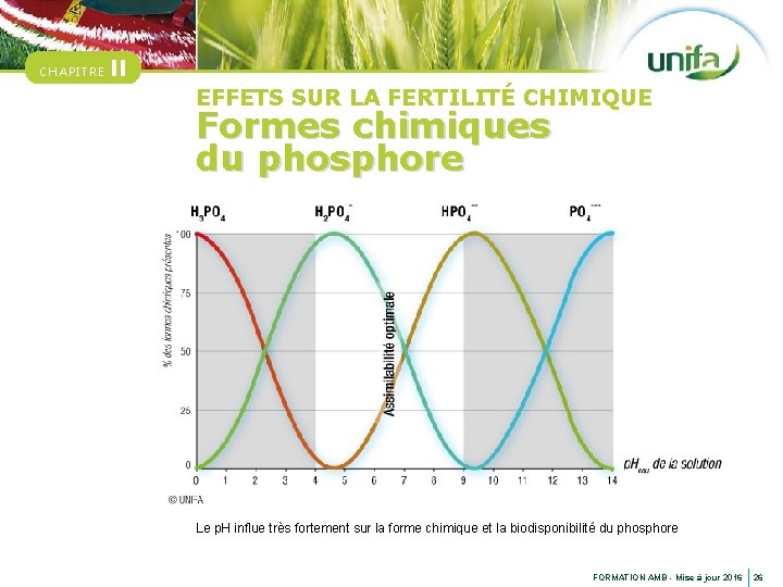 CHAPITRE II EFFETS SUR LA FERTILITÉ CHIMIQUE Formes chimiques du phosphore Le p. H
