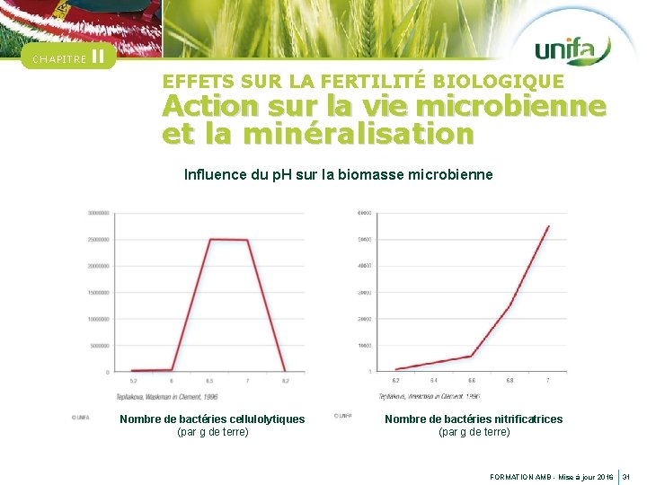 CHAPITRE II EFFETS SUR LA FERTILITÉ BIOLOGIQUE Action sur la vie microbienne et la