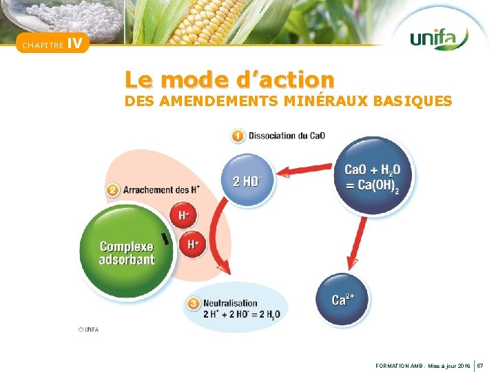 CHAPITRE IV Le mode d’action DES AMENDEMENTS MINÉRAUX BASIQUES FORMATION AMB - Mise à