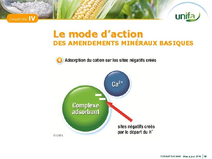 CHAPITRE IV Le mode d’action DES AMENDEMENTS MINÉRAUX BASIQUES FORMATION AMB - Mise à