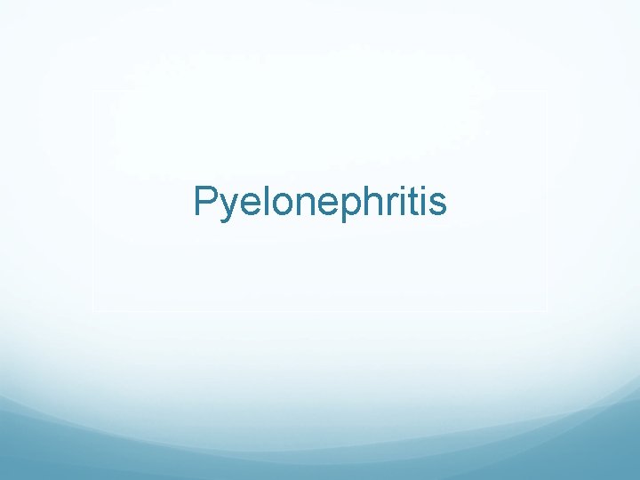 Pyelonephritis 