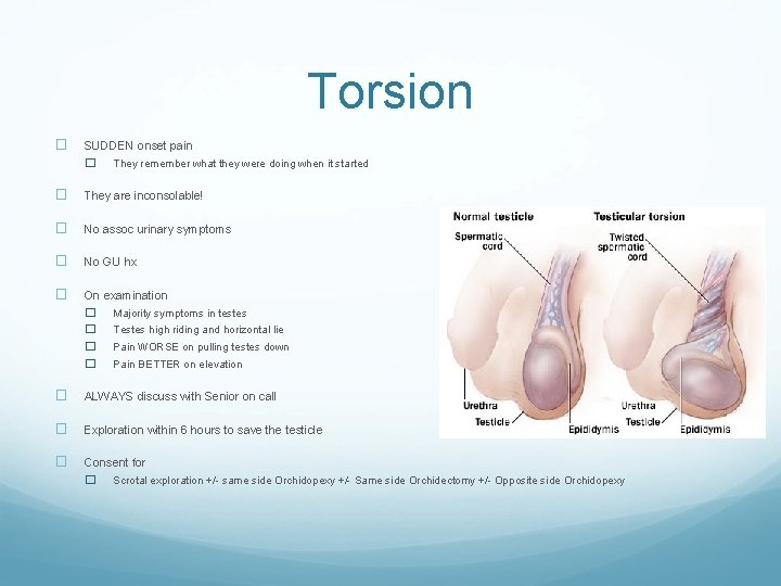 Torsion � SUDDEN onset pain � They remember what they were doing when it