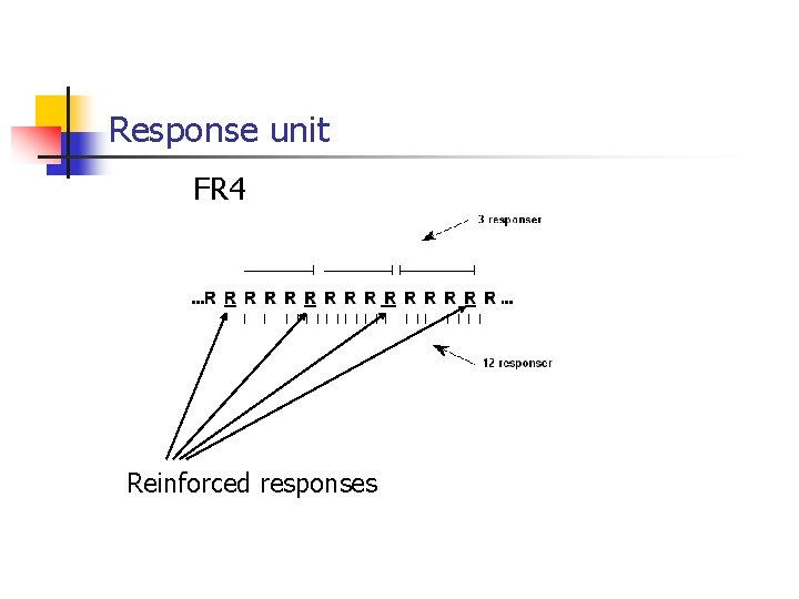 Response unit FR 4 Reinforced responses 